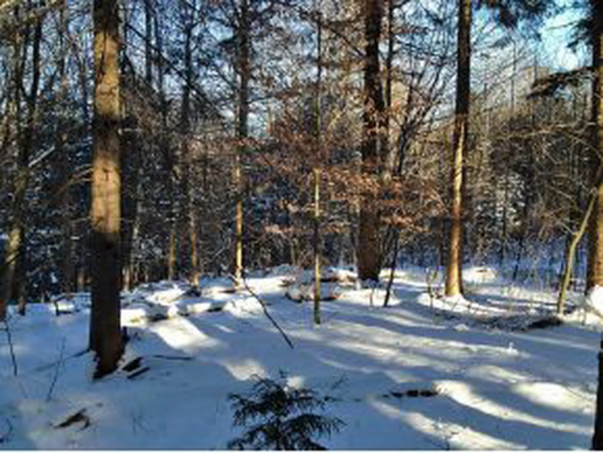 0000 Center Fayston Road Fayston VT 05660