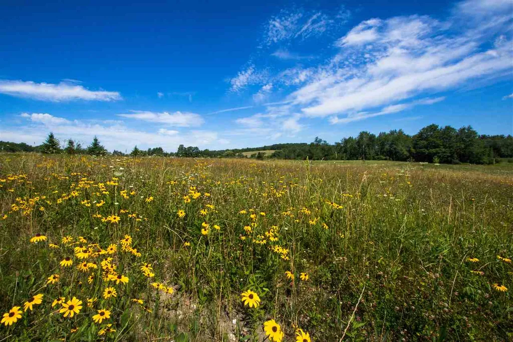 4285 Oak Hill Road Williston VT 05495