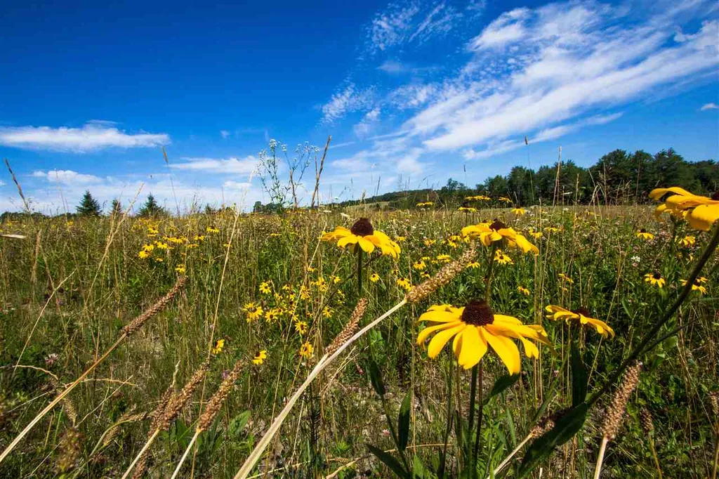 4285 Oak Hill Road Williston VT 05495