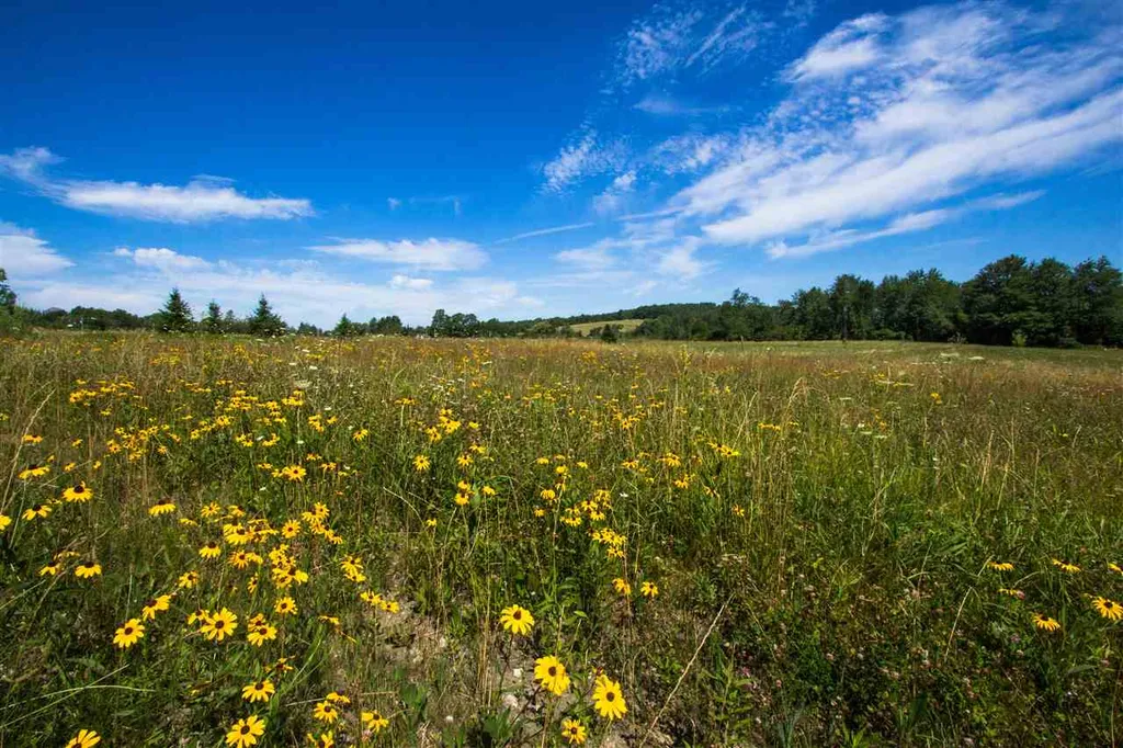 4285 Oak Hill Road Williston VT 05495