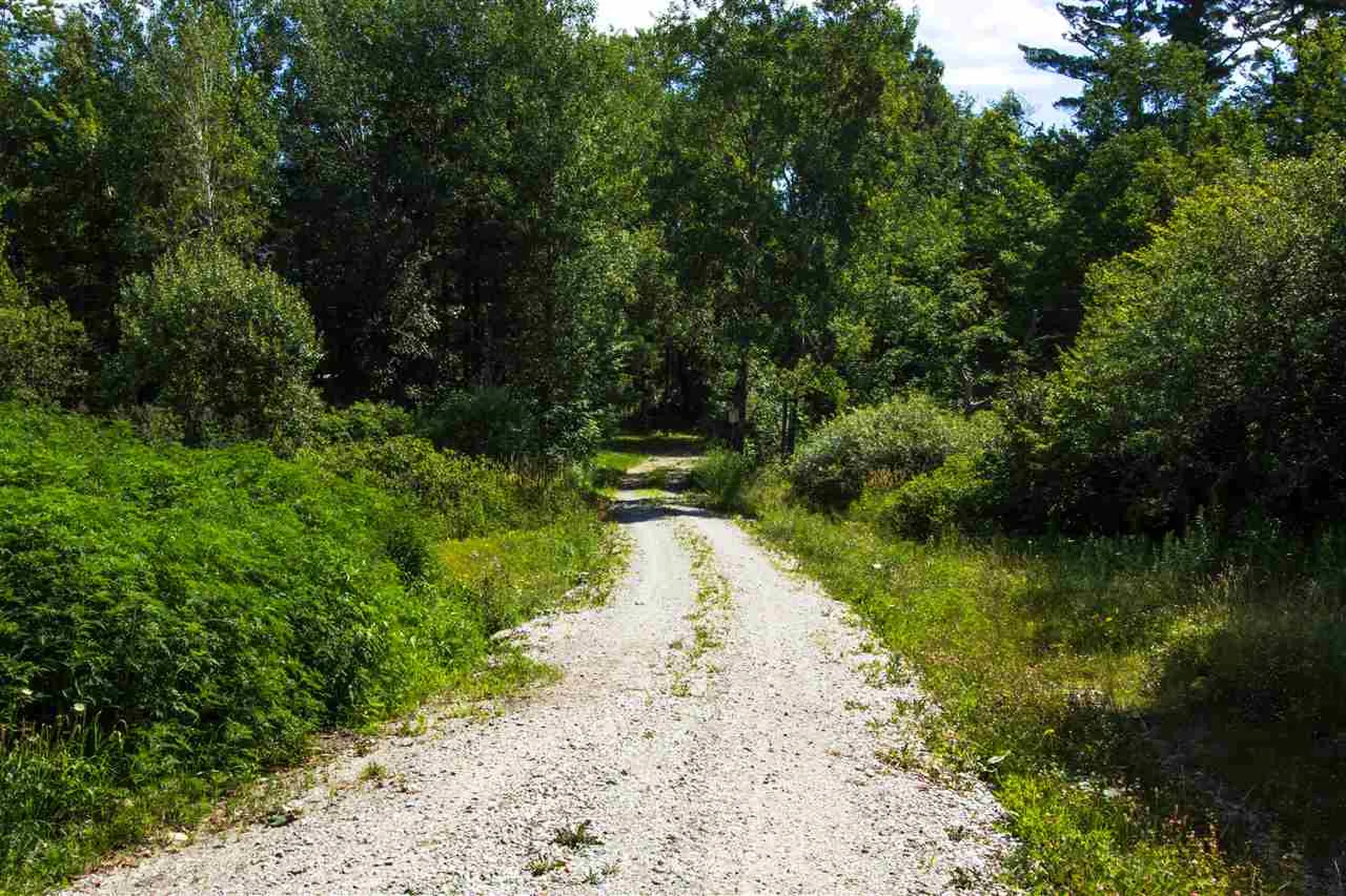 4285 Oak Hill Road Williston VT 05495