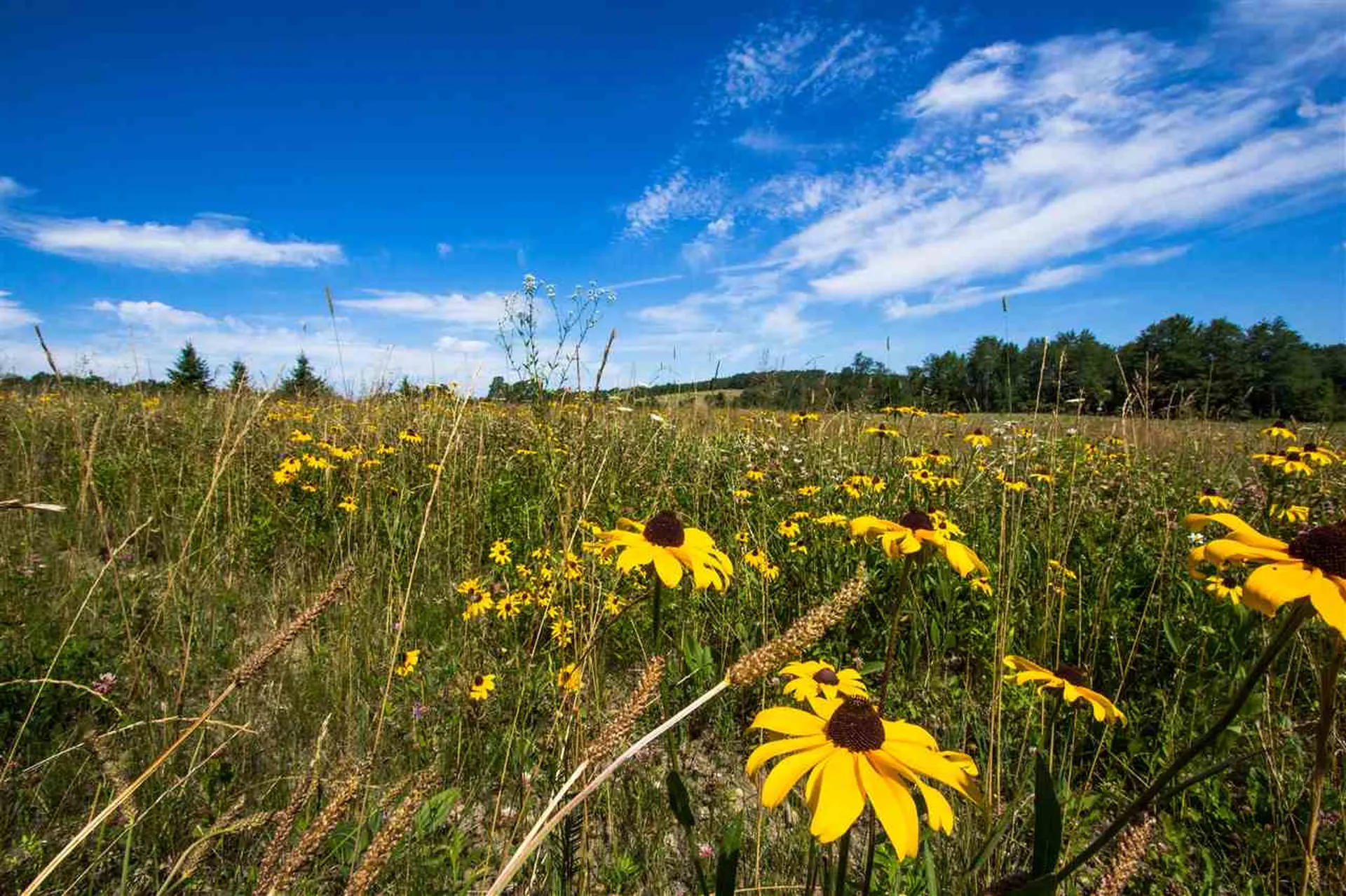 4285 Oak Hill Road Williston VT 05495