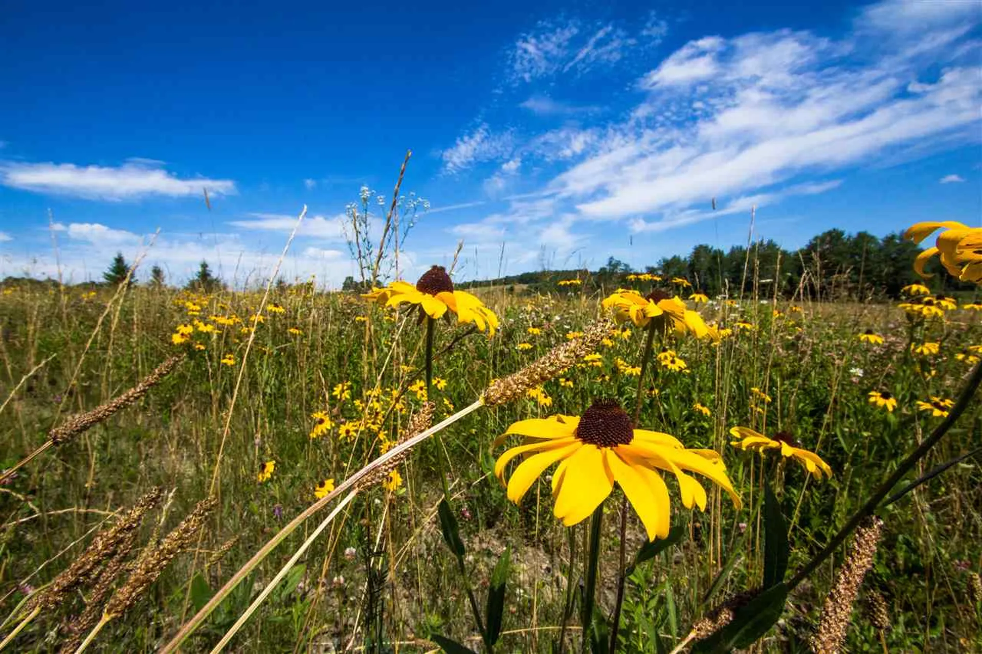4285 Oak Hill Road Williston VT 05495
