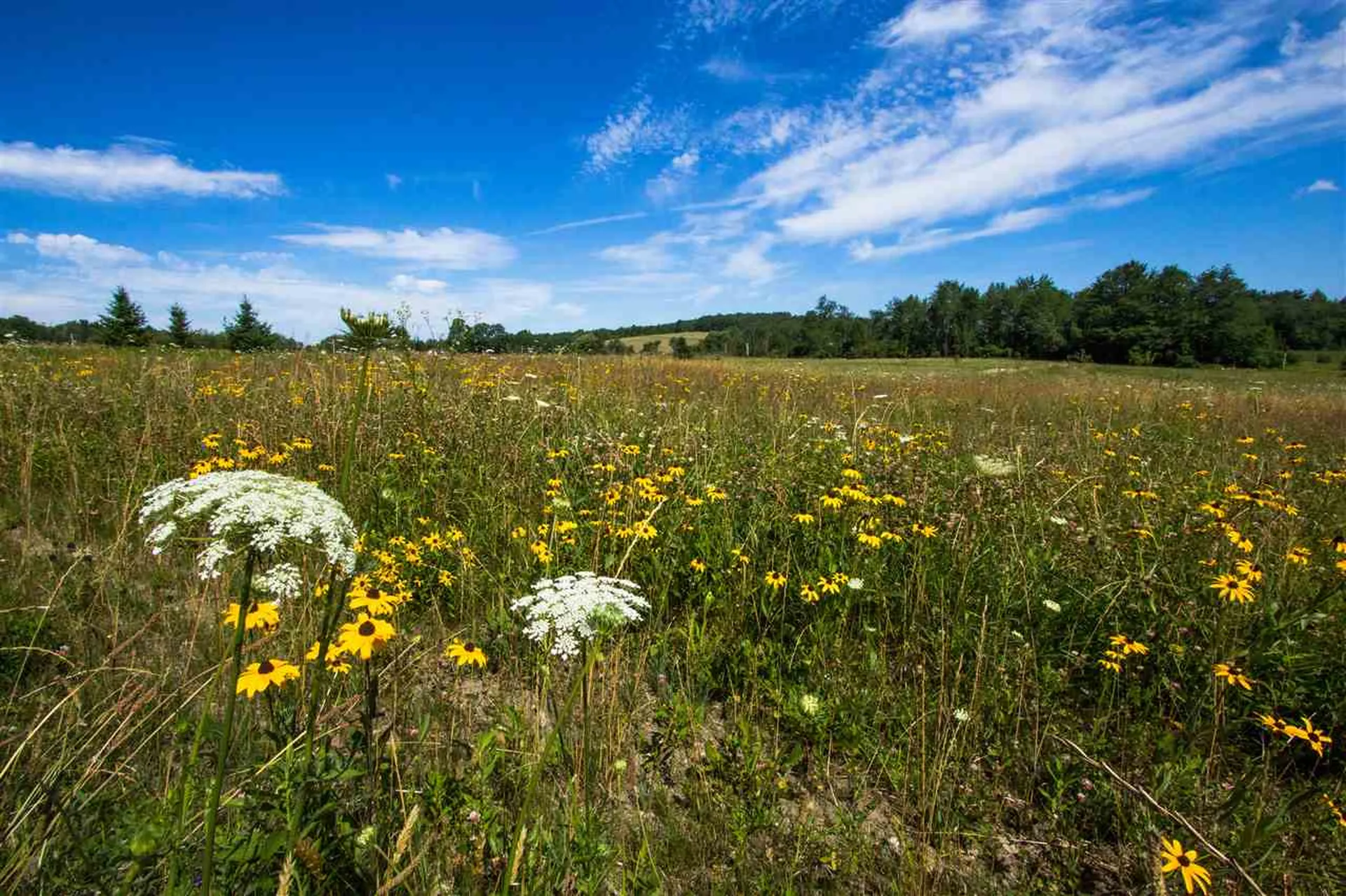 4285 Oak Hill Road Williston VT 05495