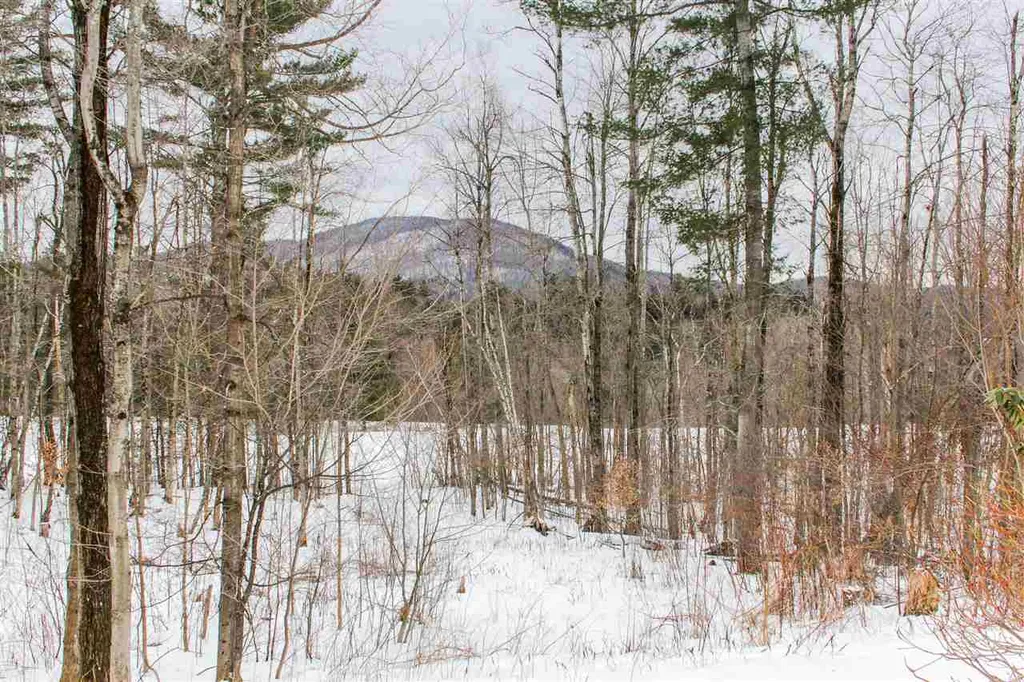 691 East Street Huntington VT 05462