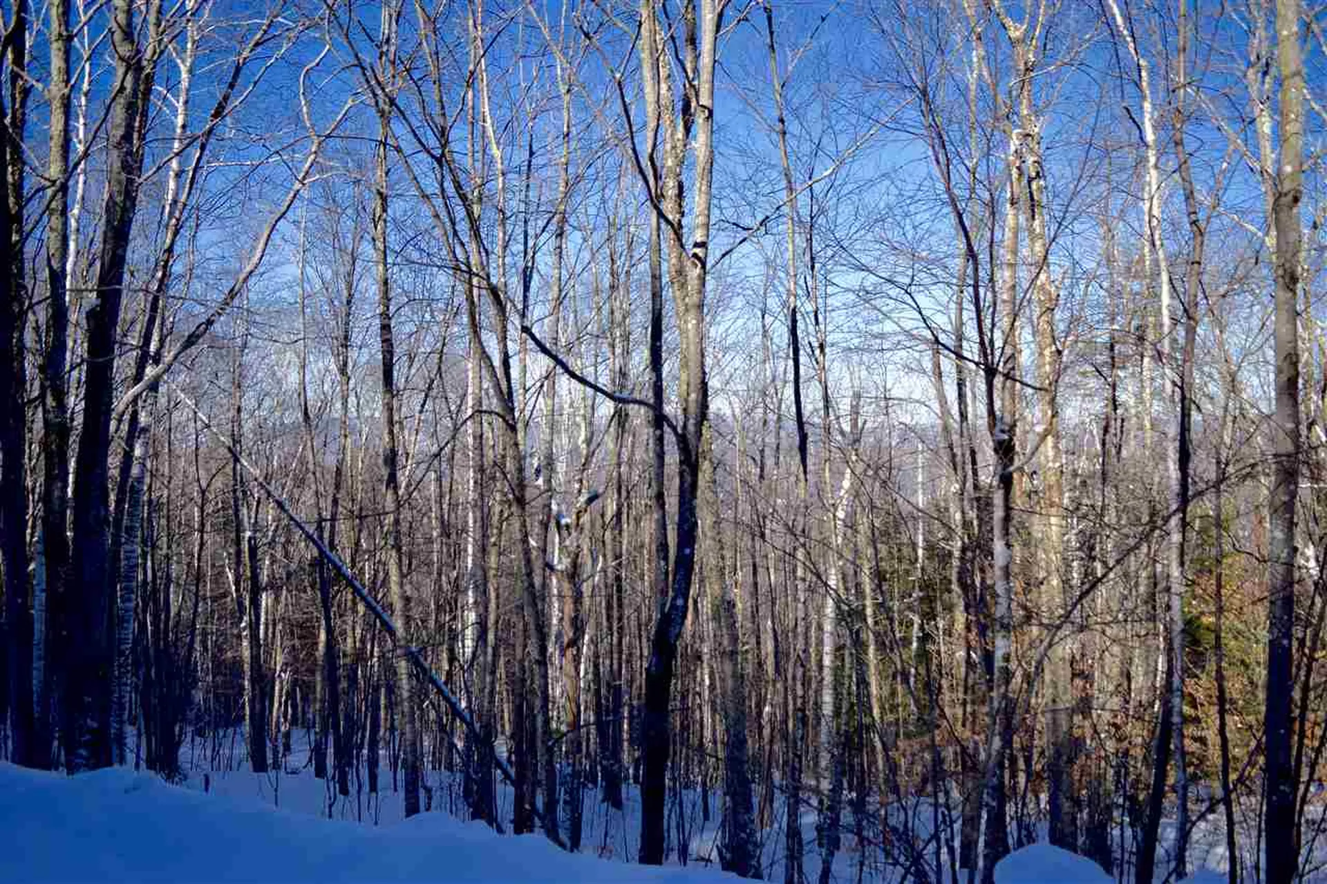 00 Weetamoo Trail Campton NH 03223