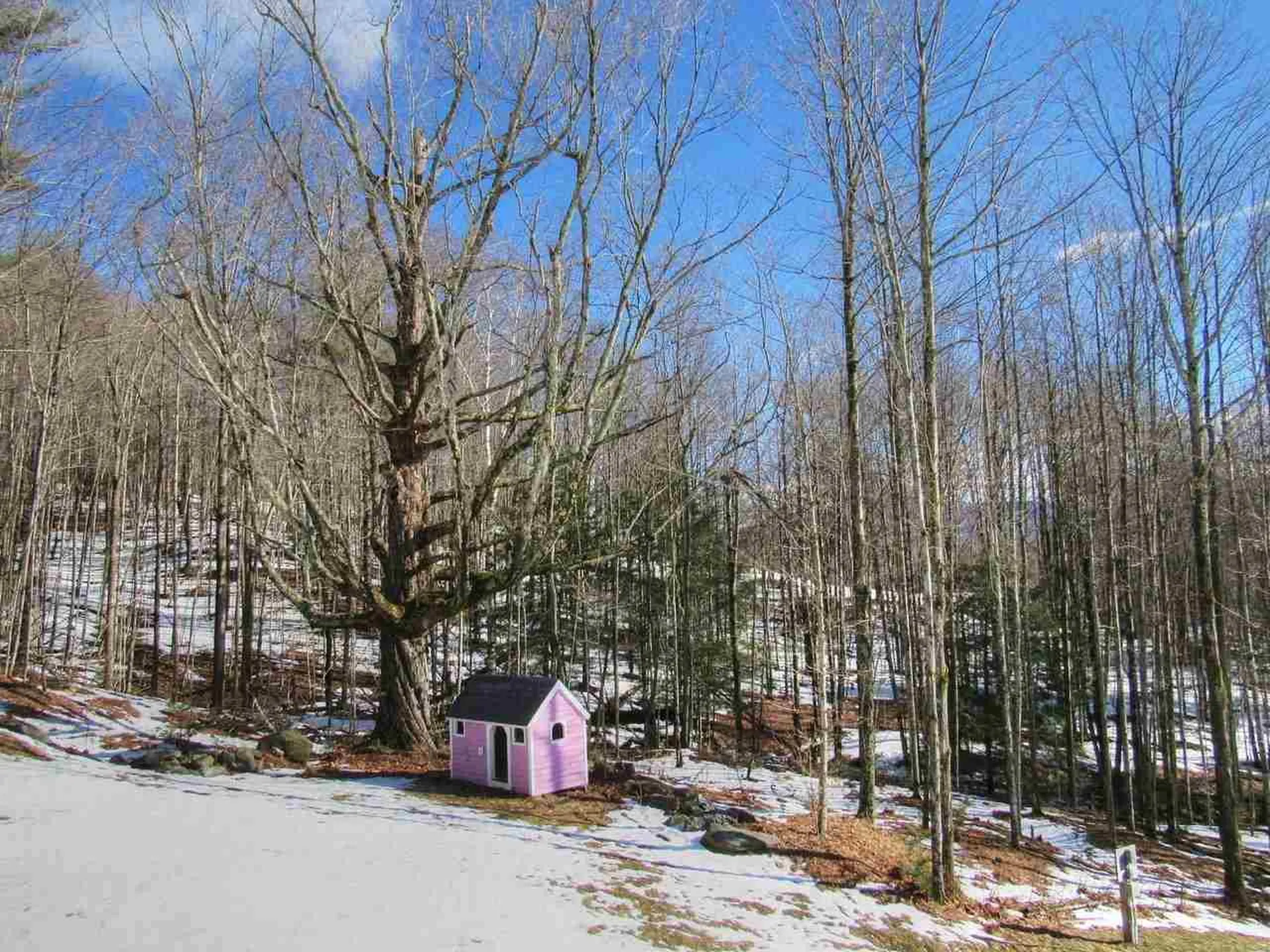 144 Ross Hill Huntington VT 05462