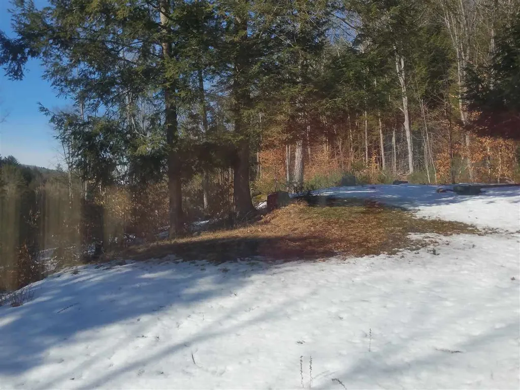 47 Thayer Brook Road Alstead NH 03602