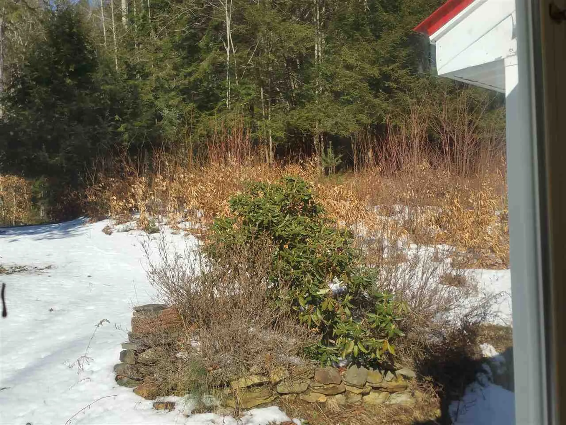 47 Thayer Brook Road Alstead NH 03602