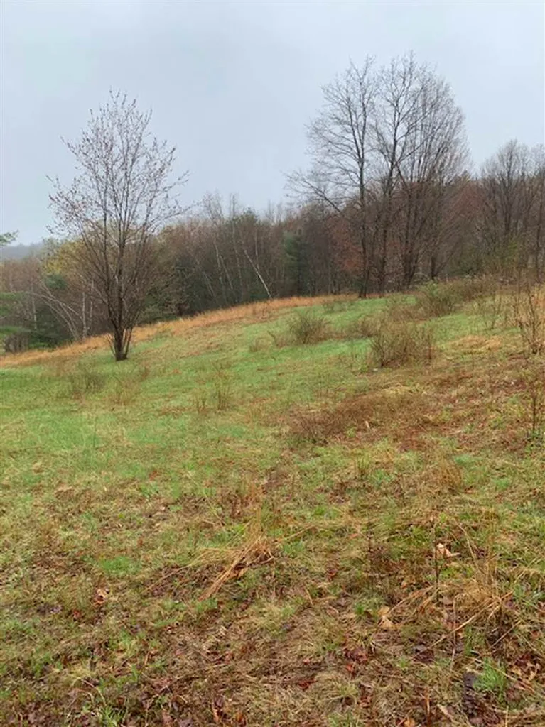 Lot 2 Honey Brim Road Vernon VT 05354