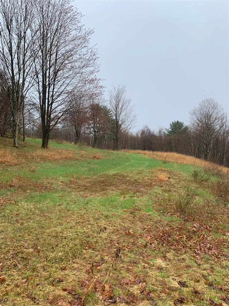 Lot 2 Honey Brim Road Vernon VT 05354