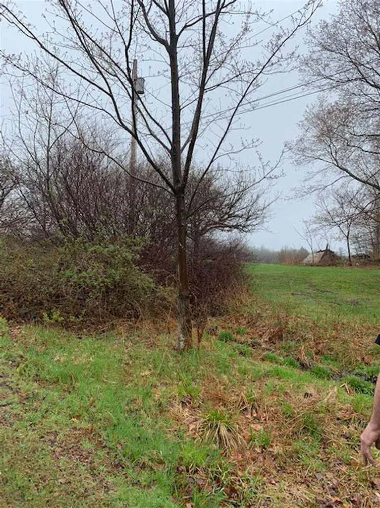 Lot 2 Honey Brim Road Vernon VT 05354