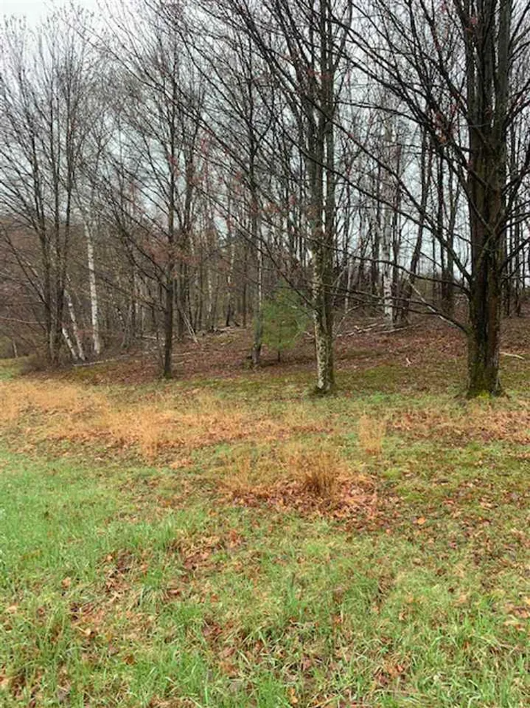 Lot 2 Honey Brim Road Vernon VT 05354