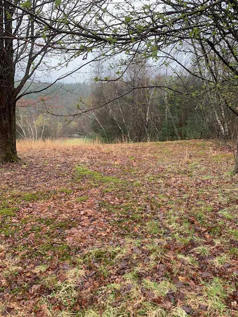 Lot 2 Honey Brim Road Vernon VT 05354