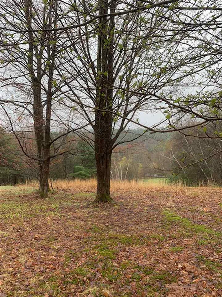 Lot 2 Honey Brim Road Vernon VT 05354