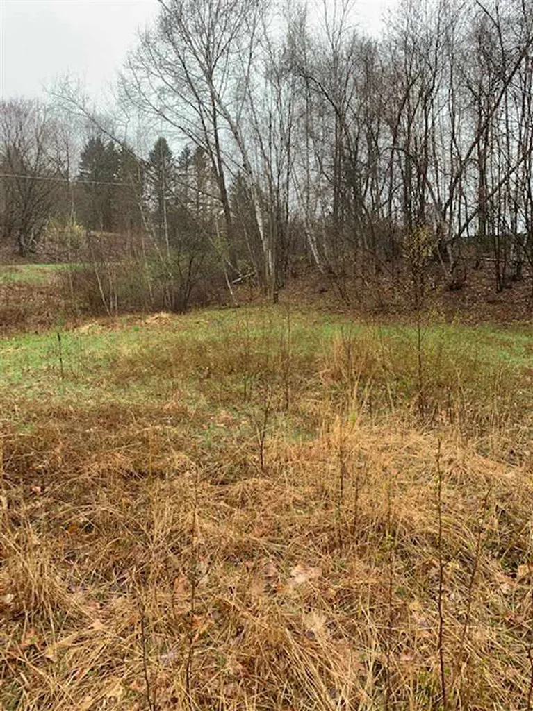 Lot 2 Honey Brim Road Vernon VT 05354