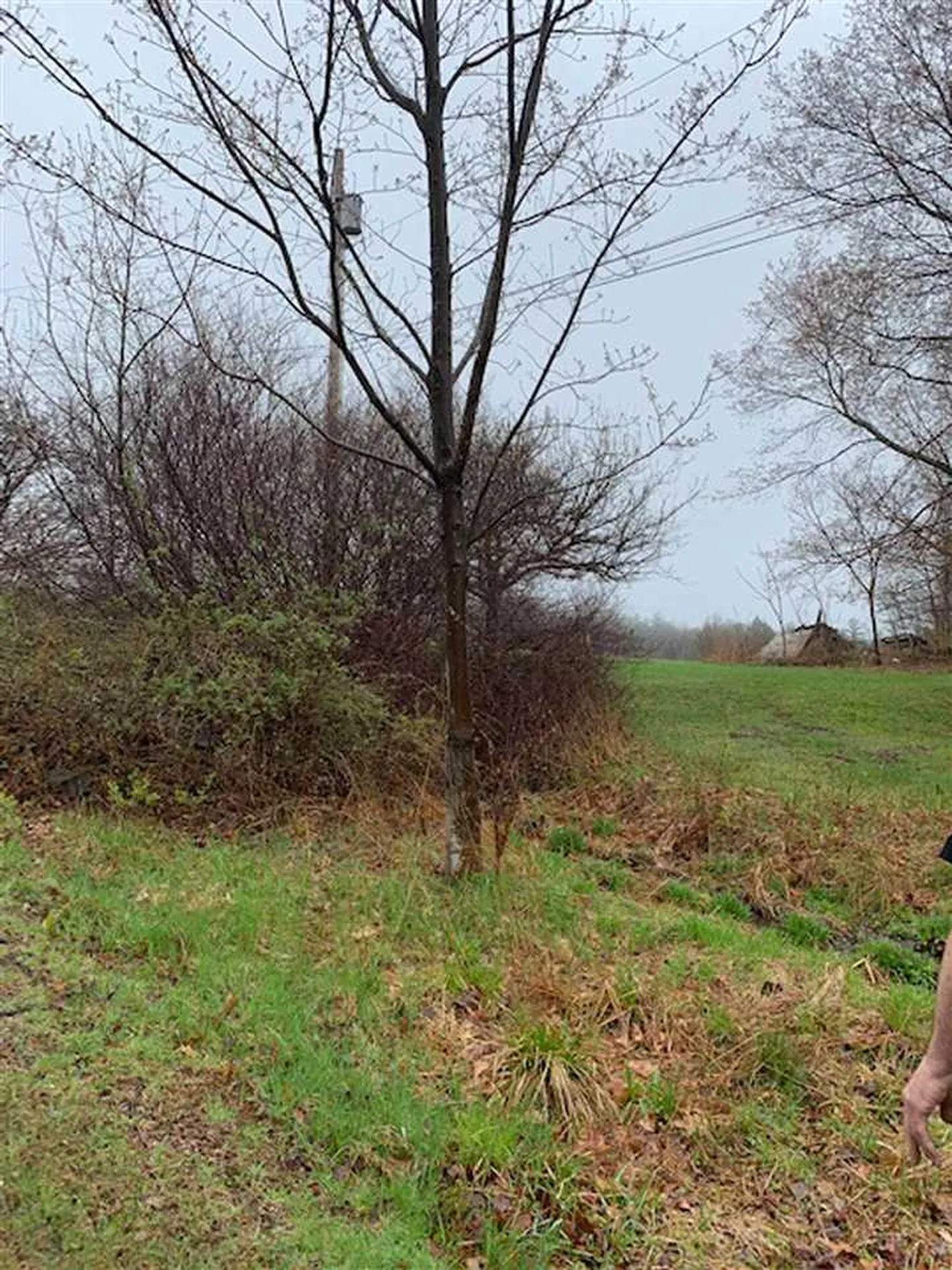 Lot 2 Honey Brim Road Vernon VT 05354