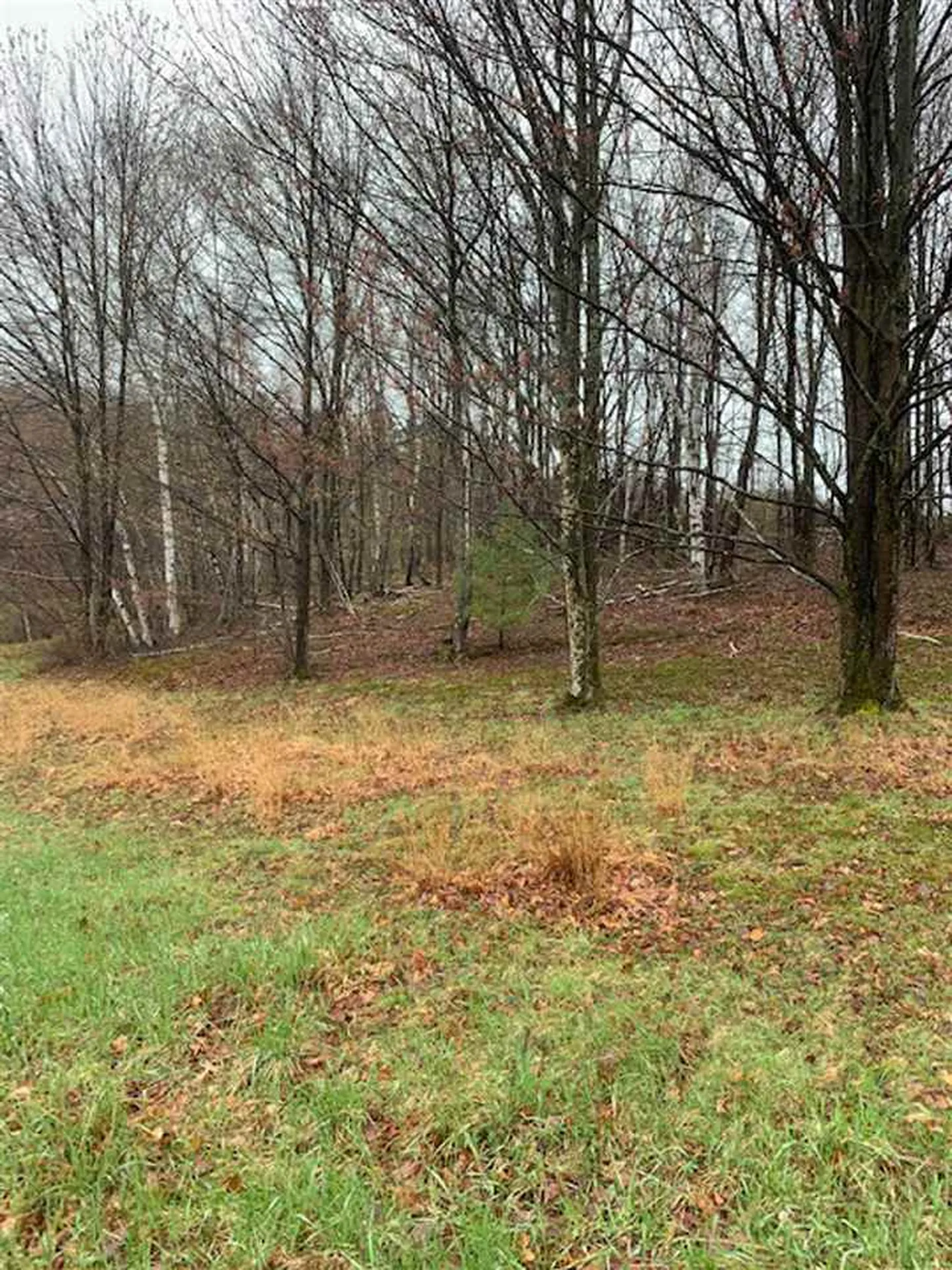 Lot 2 Honey Brim Road Vernon VT 05354