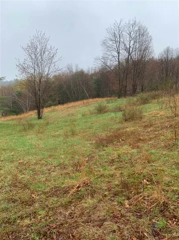 Lot 2 Honey Brim Road Vernon VT 05354