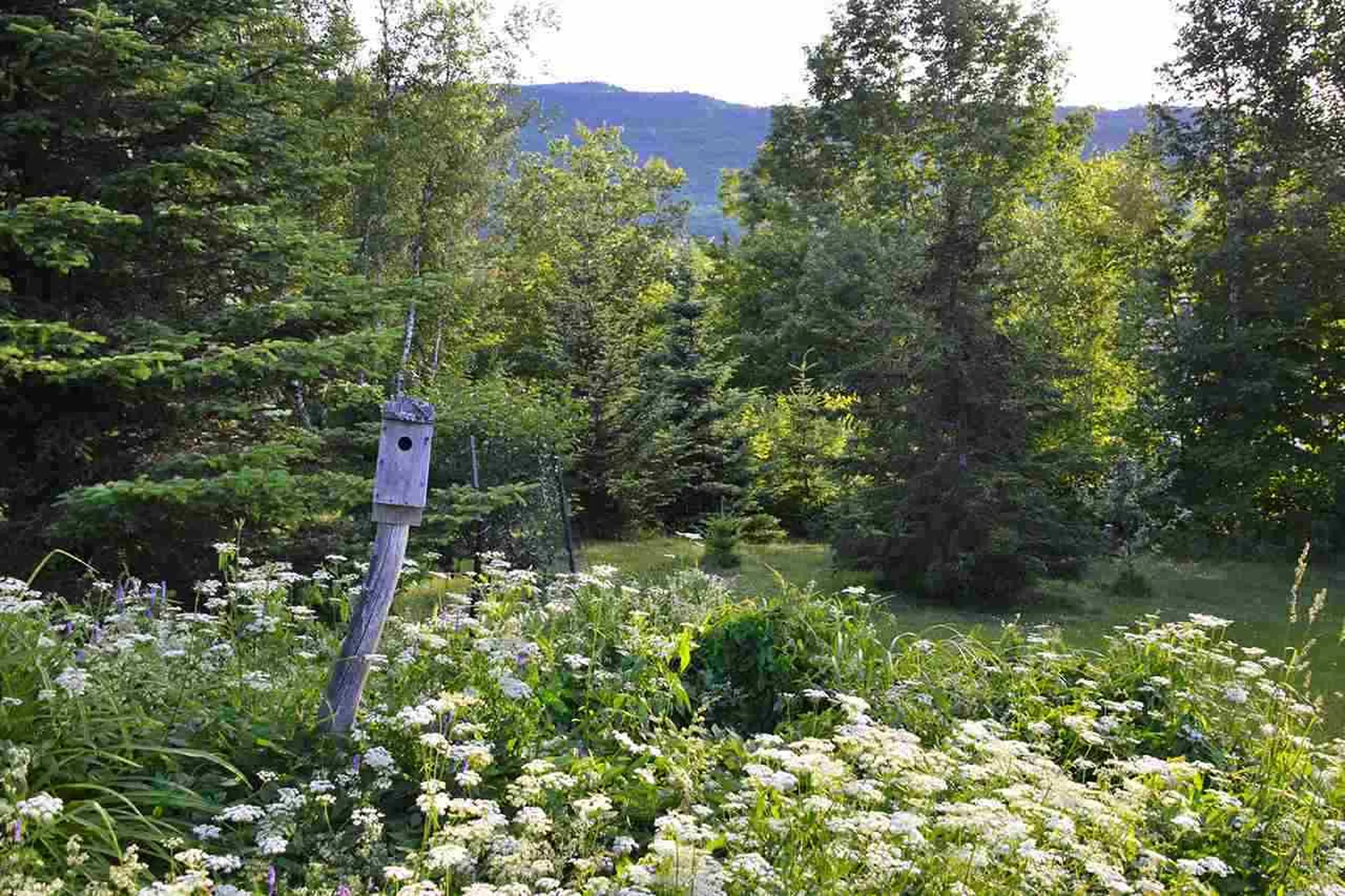67 Overlook Hill Road Wolcott VT 05680
