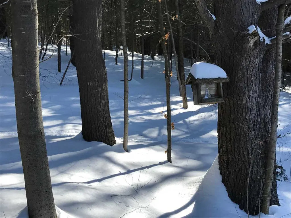 2933 Baldwin Road Hinesburg VT 05461