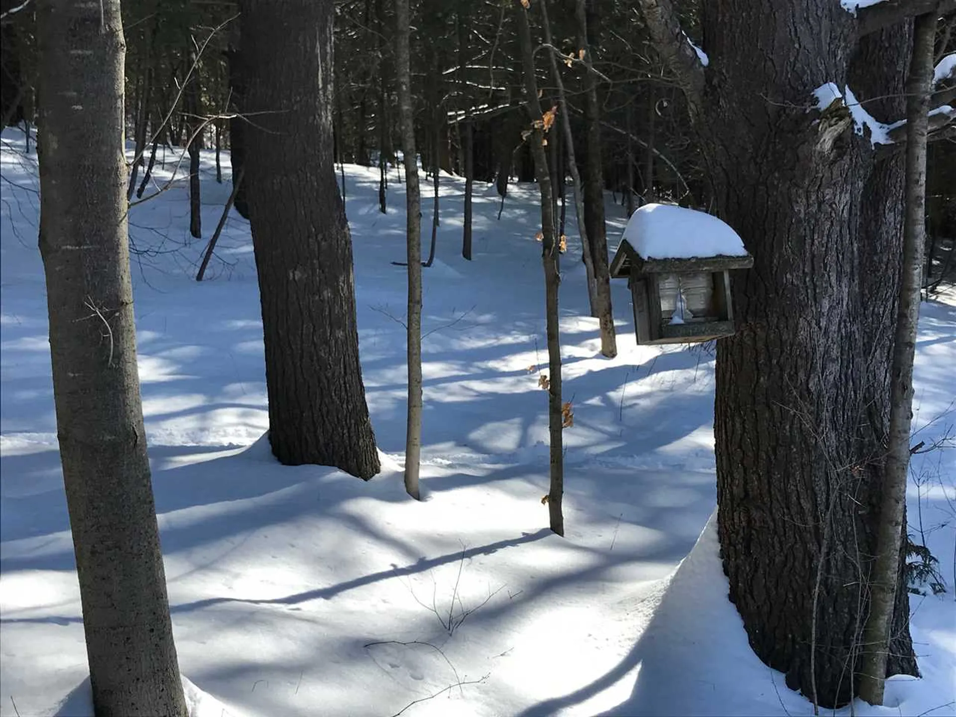 2933 Baldwin Road Hinesburg VT 05461