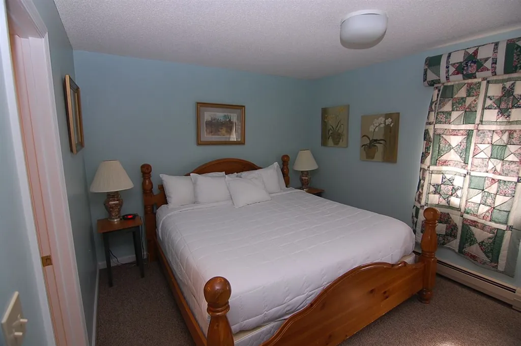 10 Obertal Drive Road Stratton VT 05155