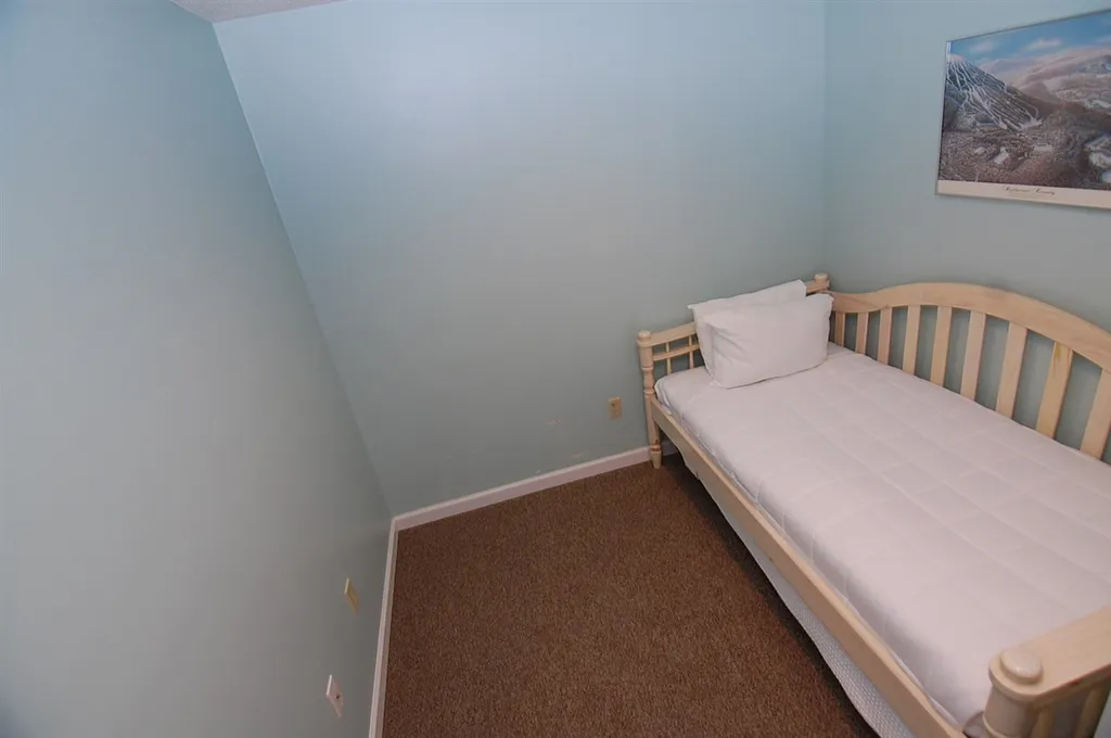 10 Obertal Drive Road Stratton VT 05155