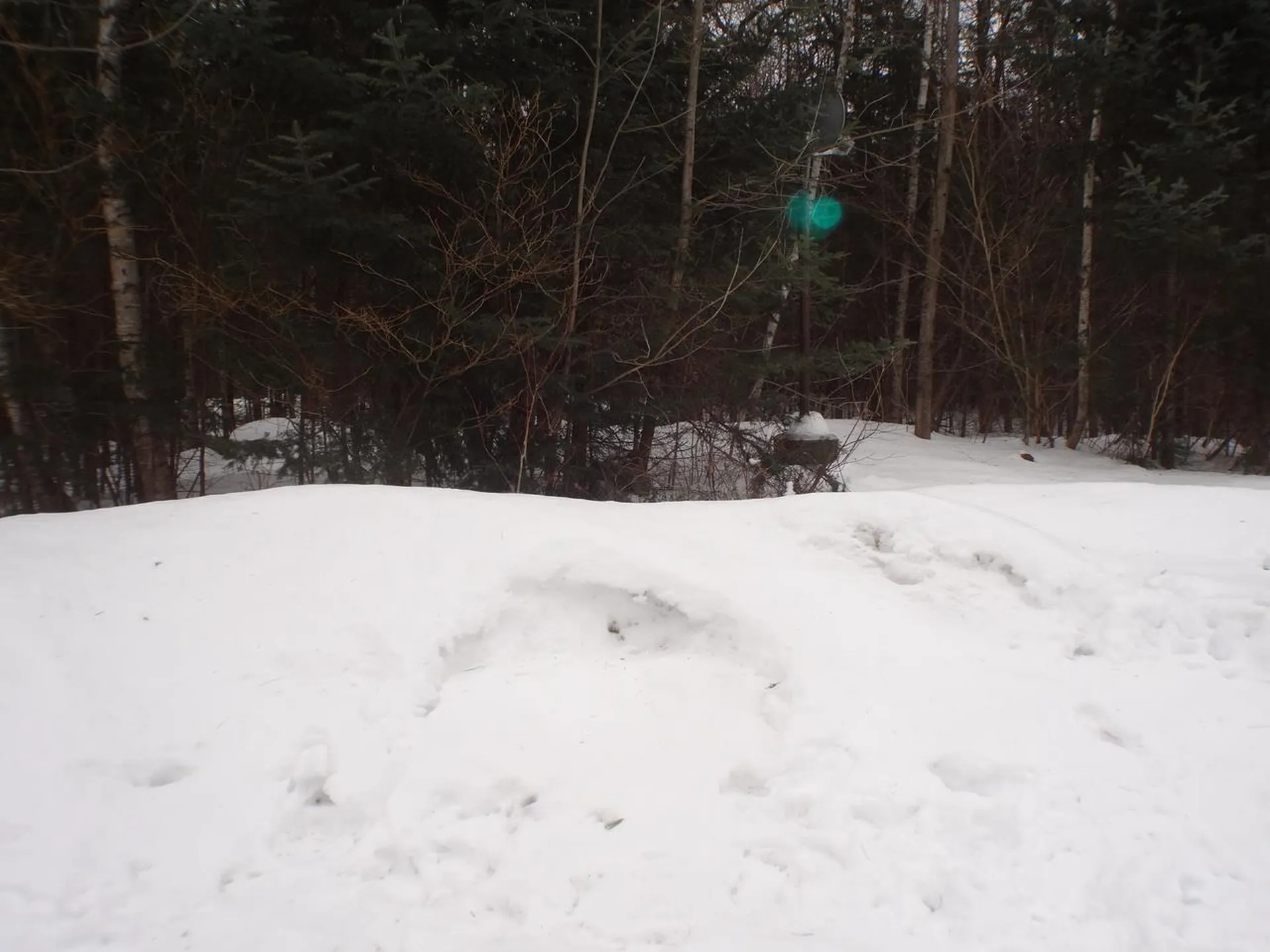 370 Dalton Road Dalton NH 03598