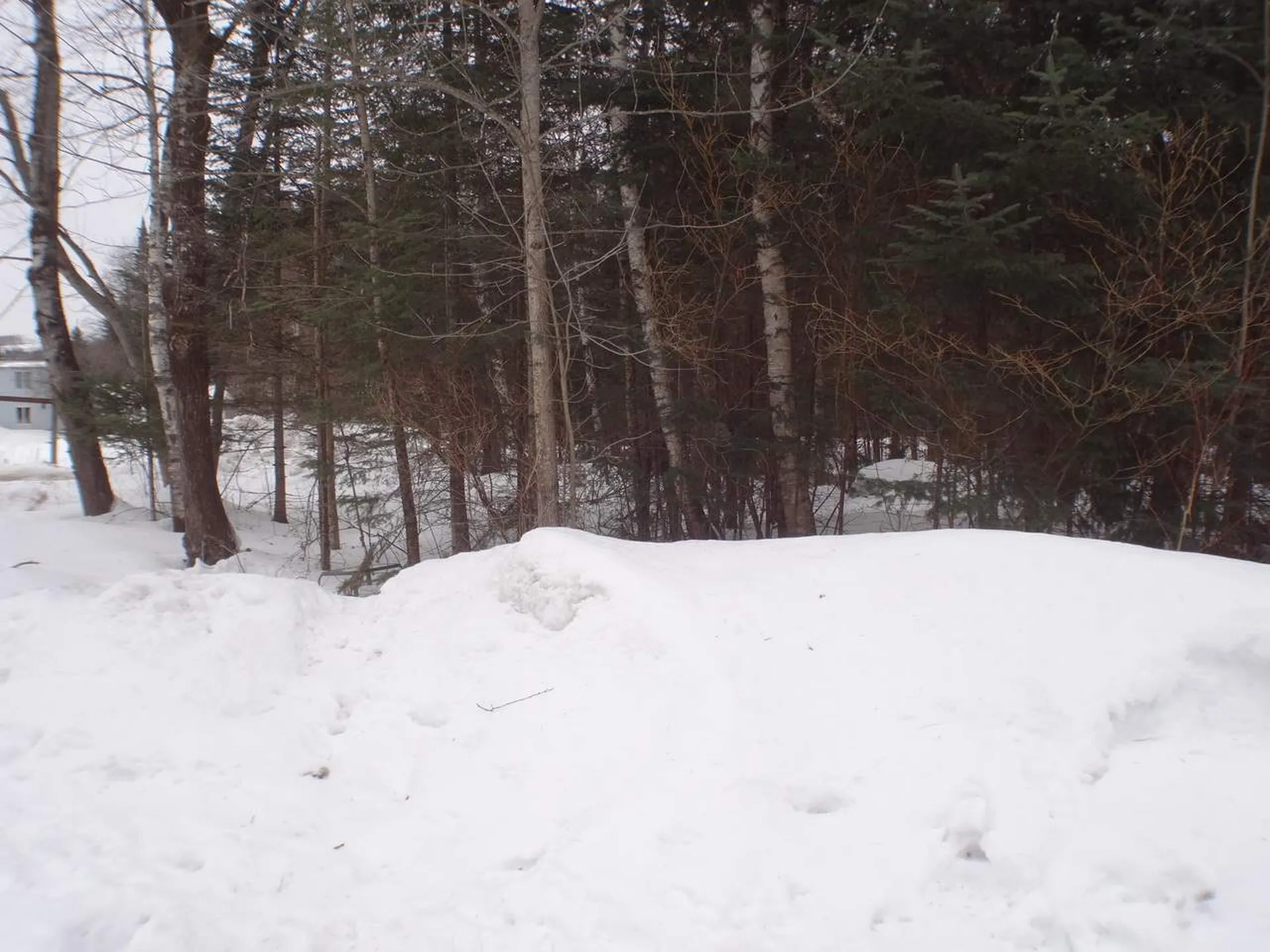 370 Dalton Road Dalton NH 03598