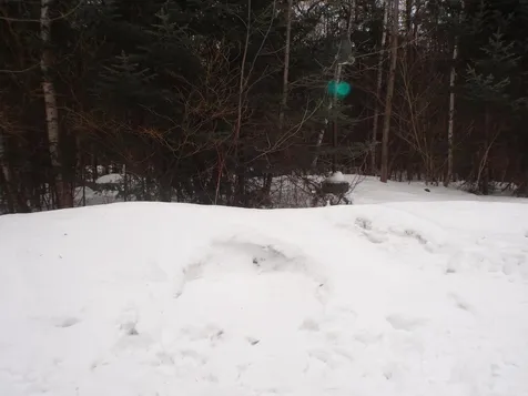 370 Dalton Road Dalton NH 03598