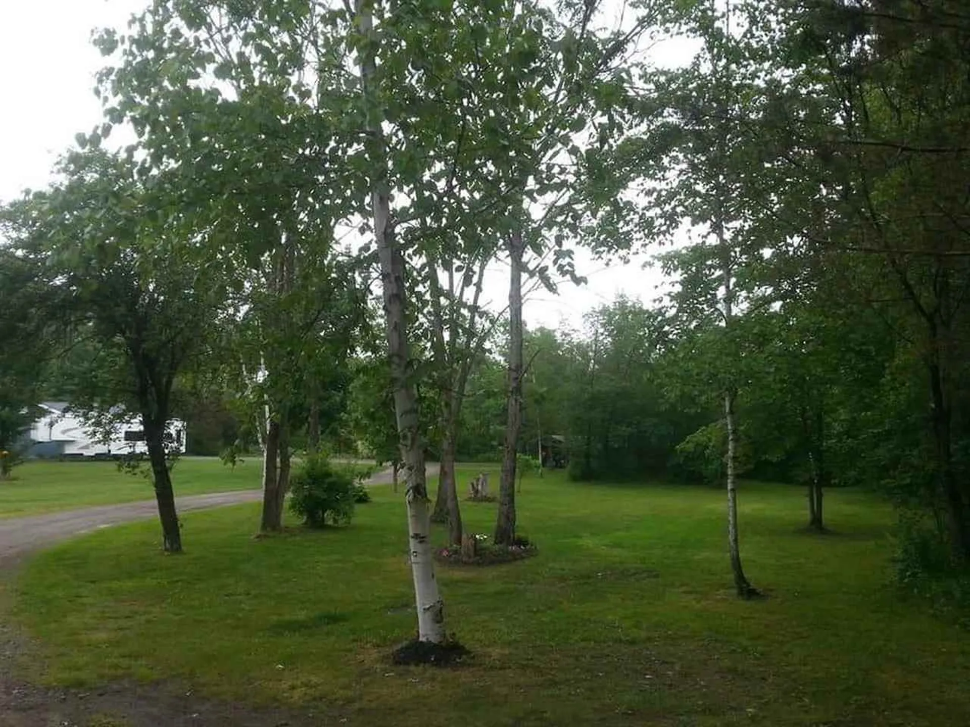 52 Rabbit Path Road Landaff NH 03585