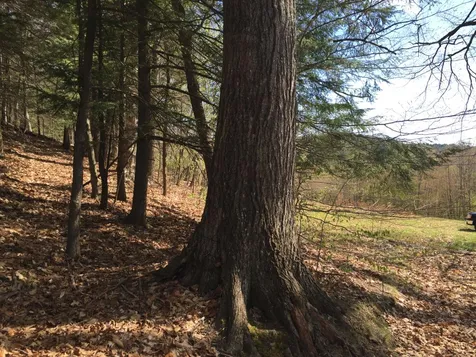 Lot 3 Sunset Lake Road Brattleboro VT 05301