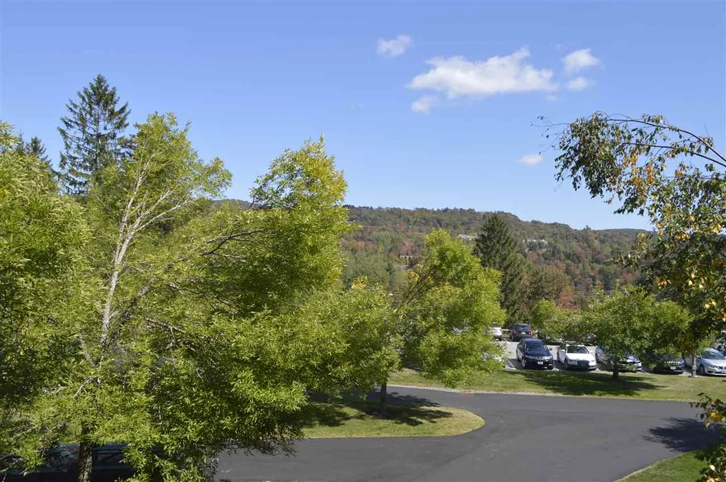 142/144, 2 89 Grand Summit Way Dover VT 05356