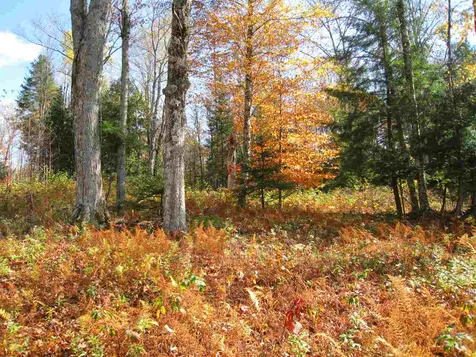 #2 Winters Way Burke VT 05832