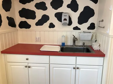 112 Main Street Stowe VT 05672