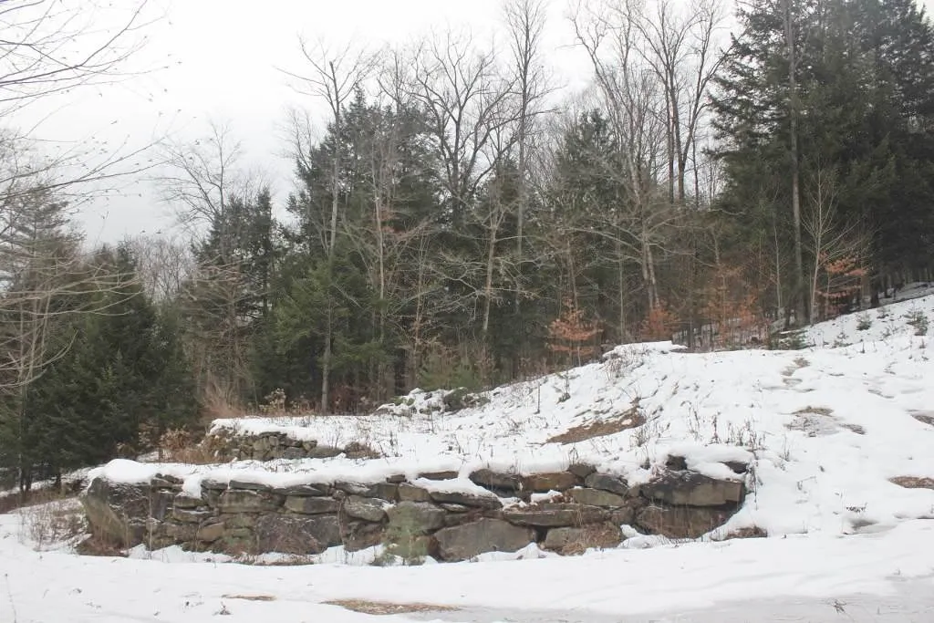 11 Beechwood Lane Springfield VT 05156