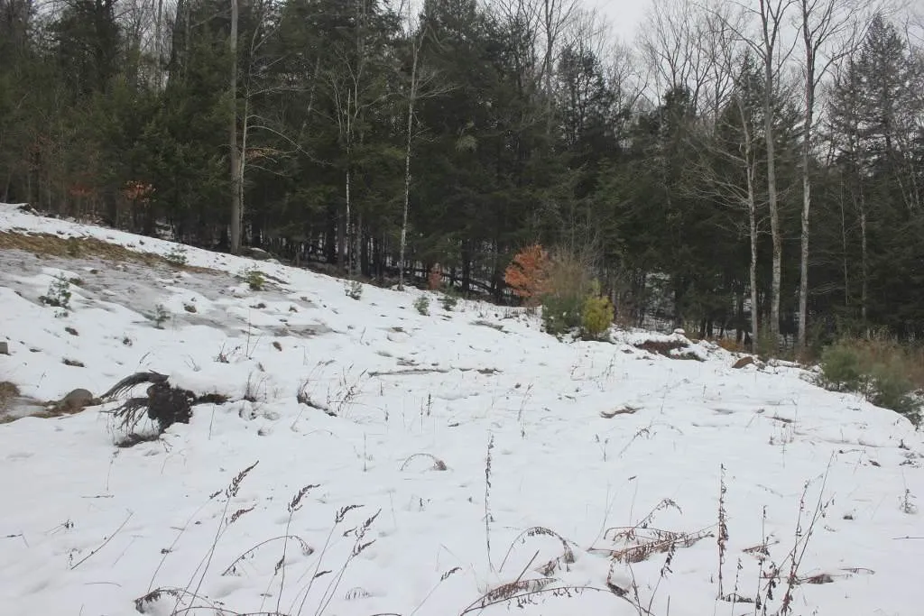11 Beechwood Lane Springfield VT 05156