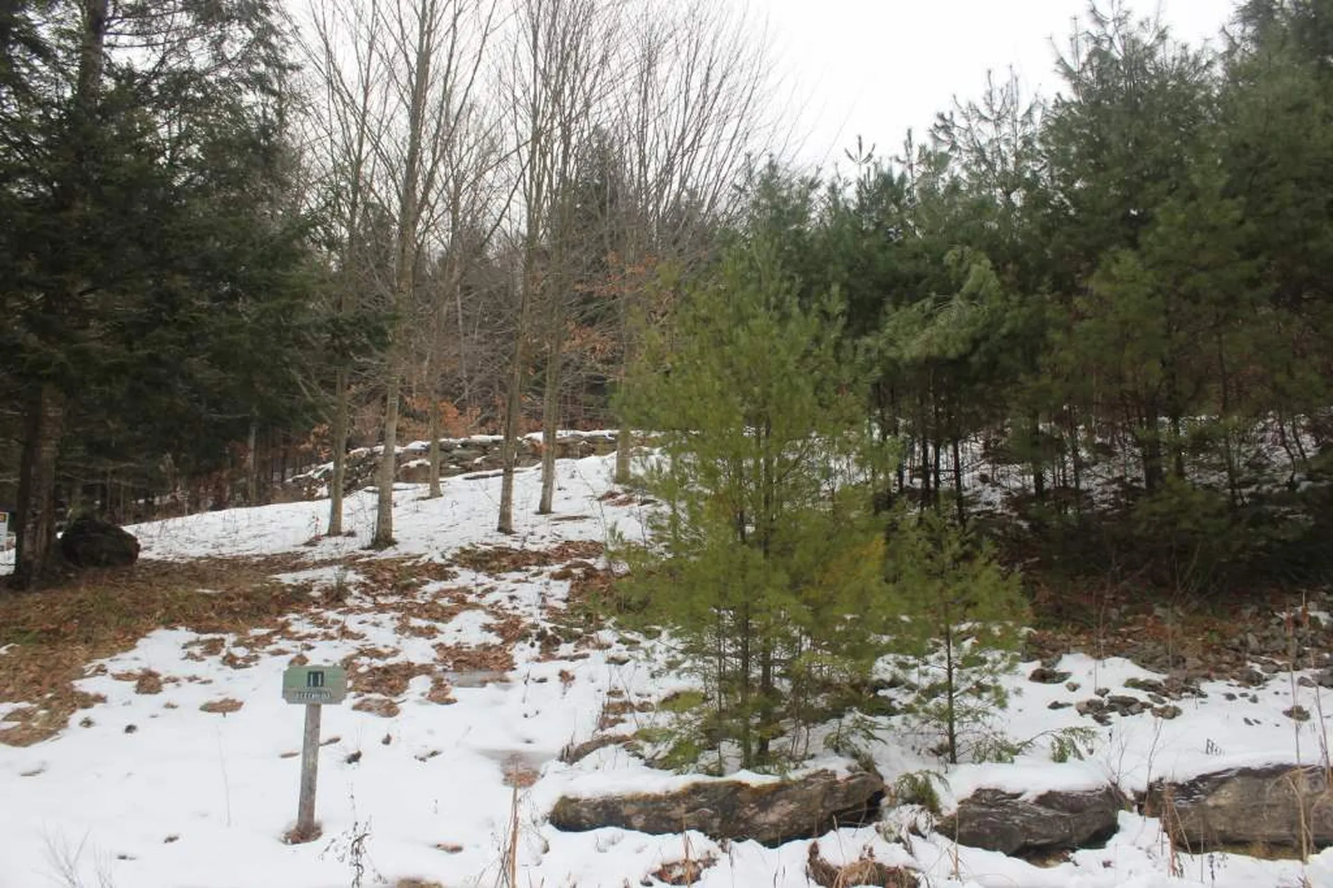 11 Beechwood Lane Springfield VT 05156