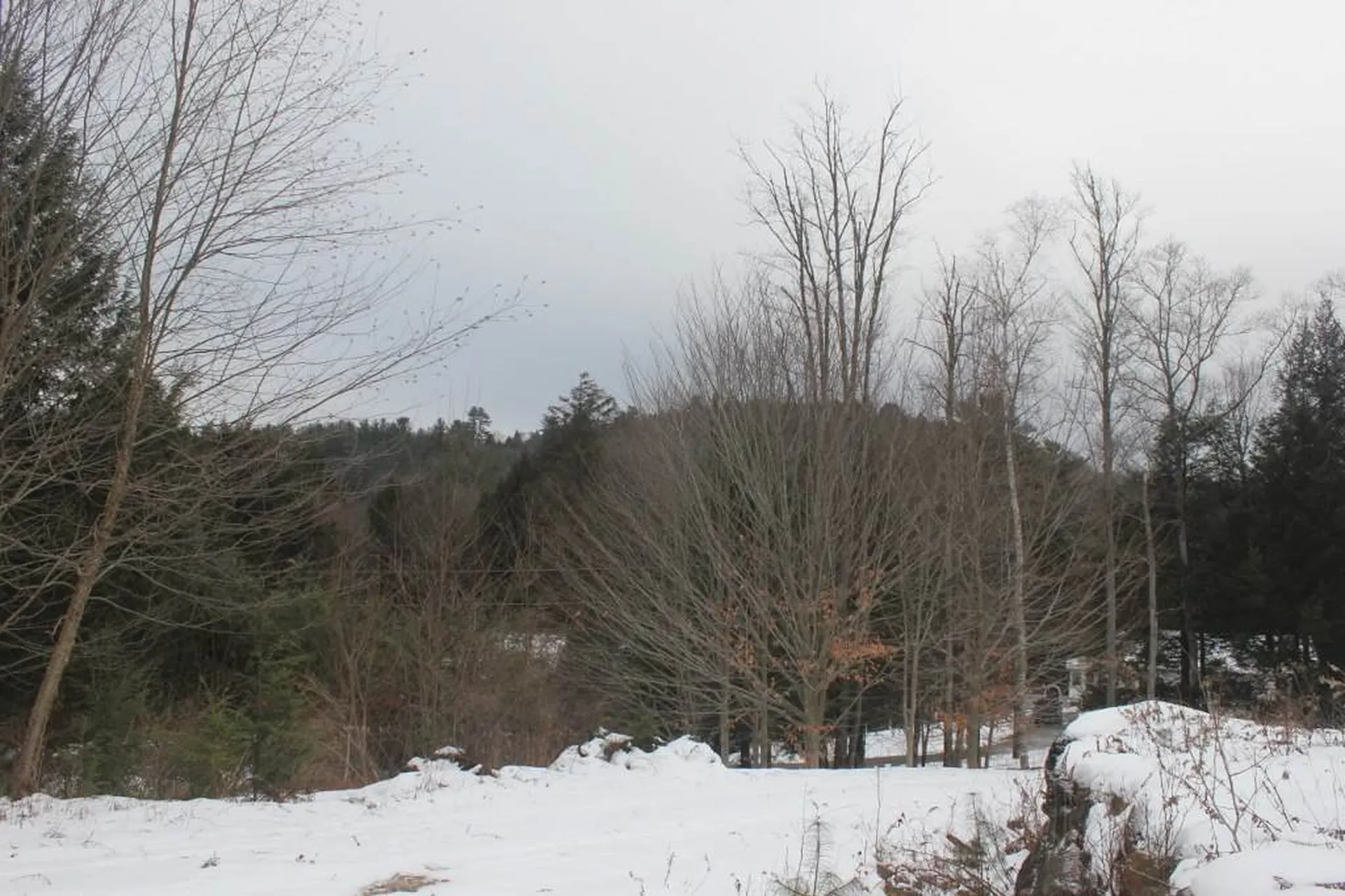 11 Beechwood Lane Springfield VT 05156