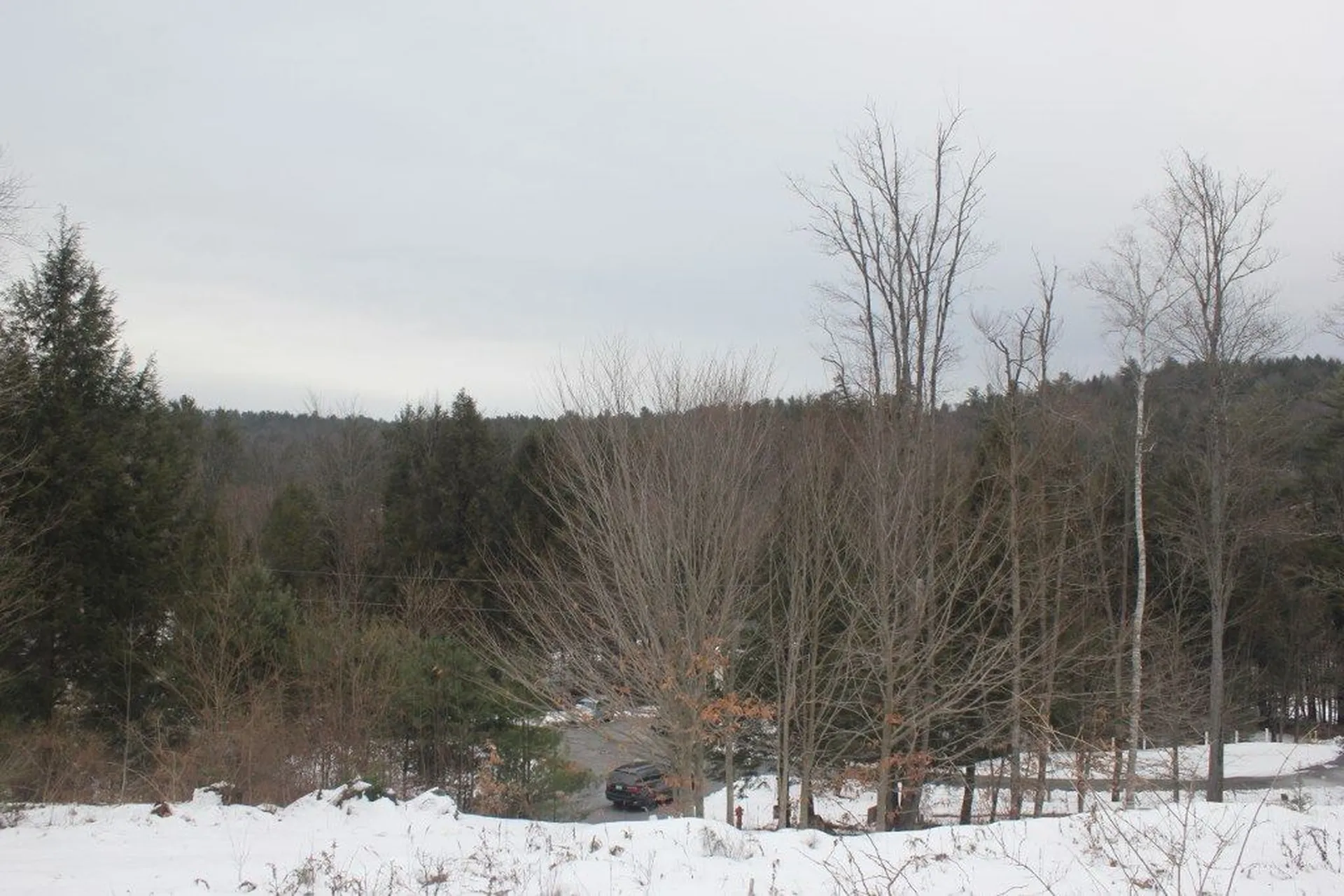 11 Beechwood Lane Springfield VT 05156