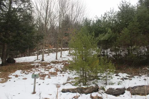 11 Beechwood Lane Springfield VT 05156