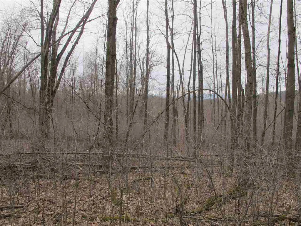 Lot #2 Butternut Road Williston VT 05495