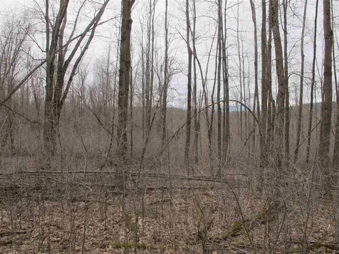 Lot #2 Butternut Road Williston VT 05495