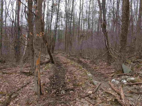 Lot #2 Butternut Road Williston VT 05495