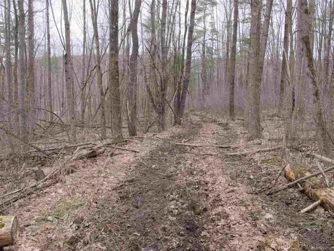 Lot #2 Butternut Road Williston VT 05495