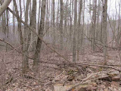 Lot #2 Butternut Road Williston VT 05495