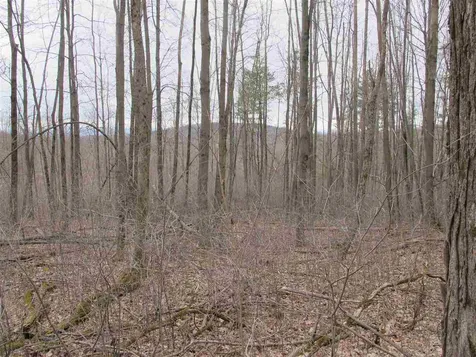 Lot #2 Butternut Road Williston VT 05495