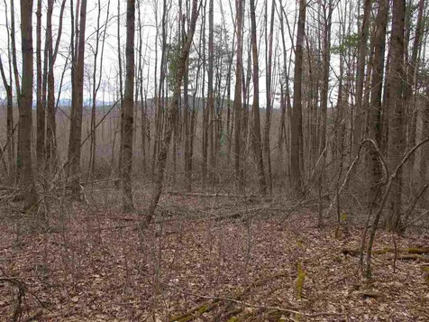 Lot #2 Butternut Road Williston VT 05495