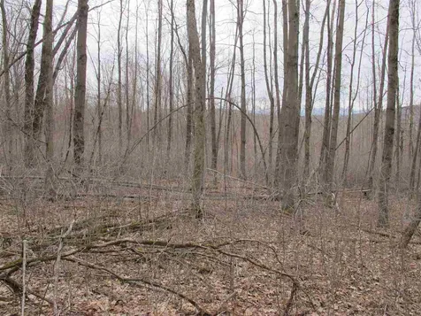 Lot #2 Butternut Road Williston VT 05495
